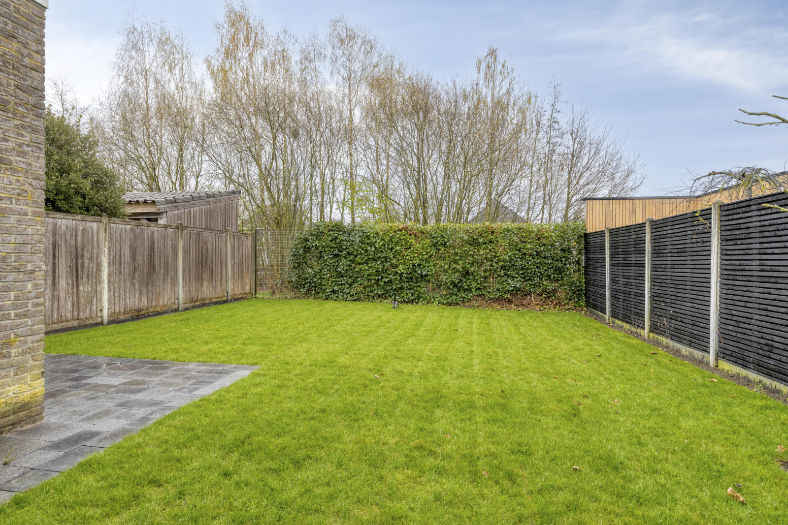 lichtenvoorde-ijsvogel--109