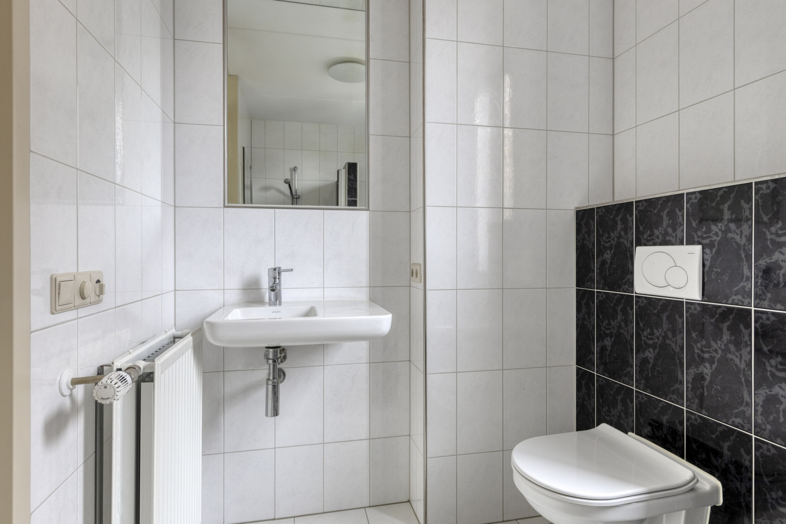 lichtenvoorde-ijsvogel--109