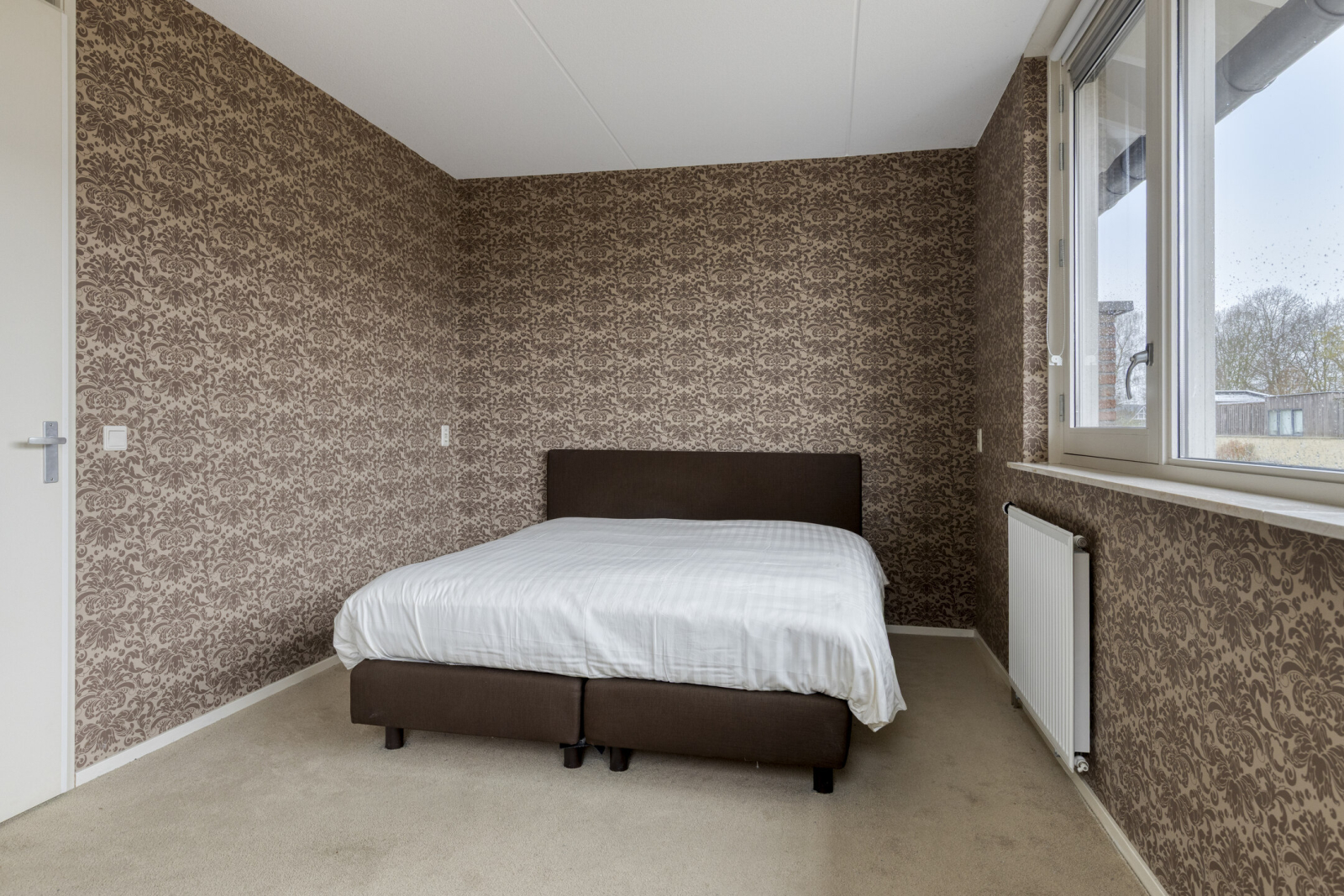 lichtenvoorde-ijsvogel--109