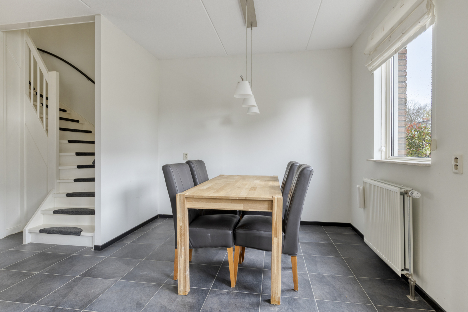 lichtenvoorde-ijsvogel--109