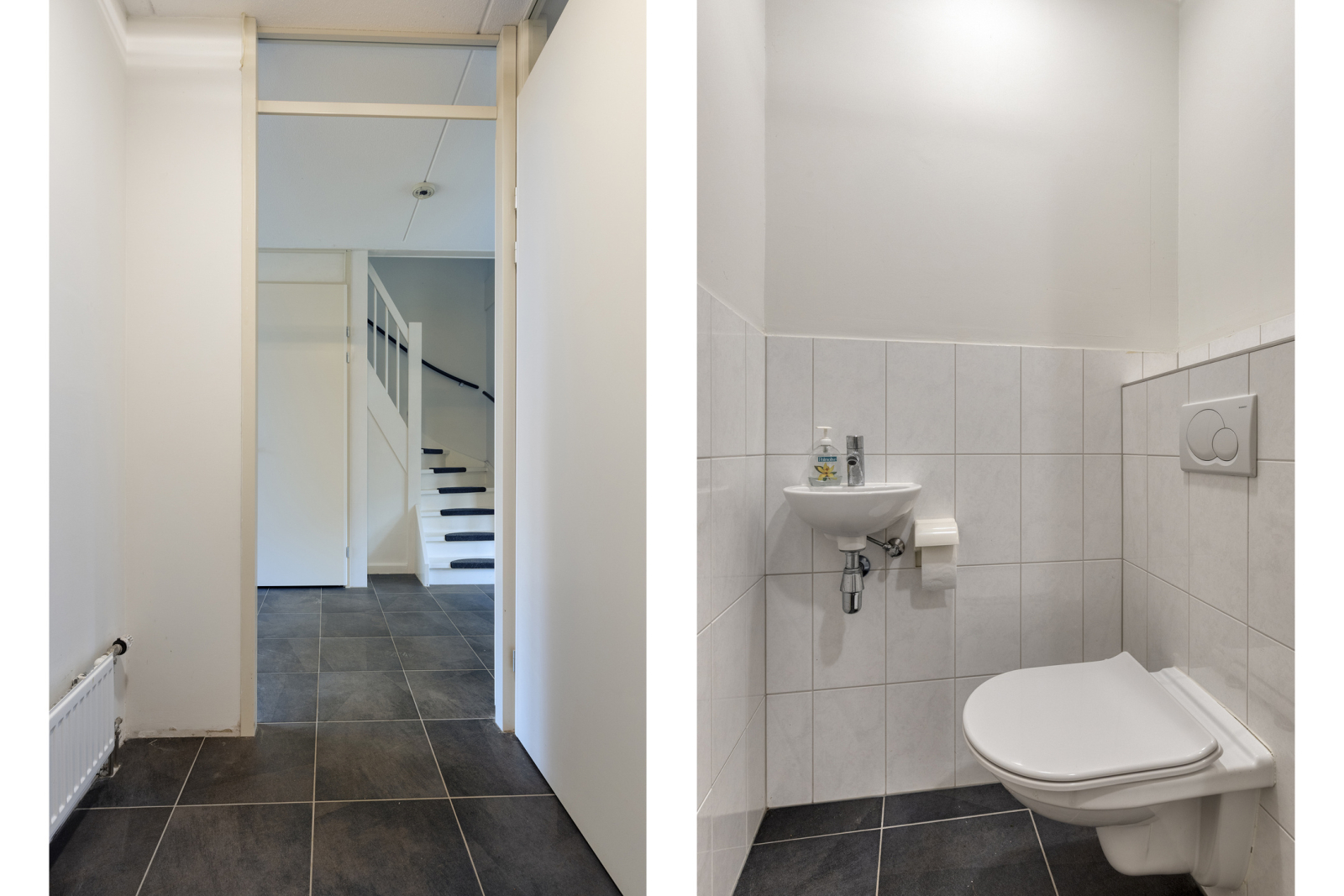 lichtenvoorde-ijsvogel--109