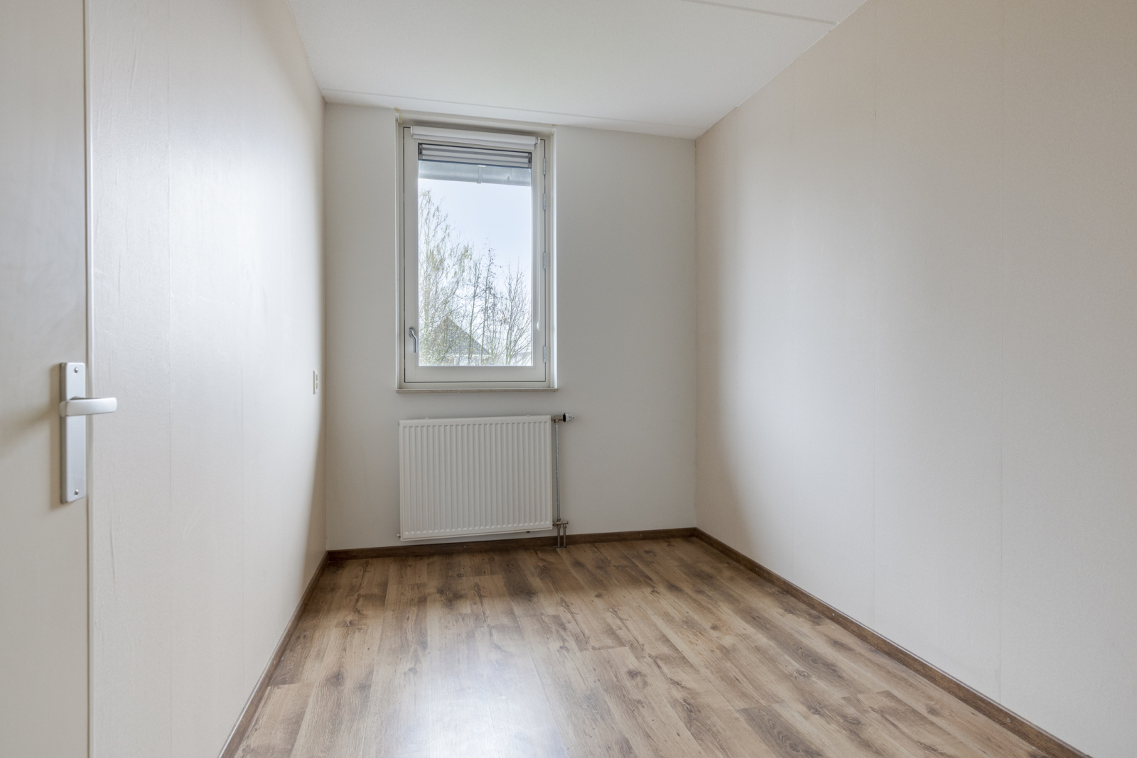 lichtenvoorde-ijsvogel--109